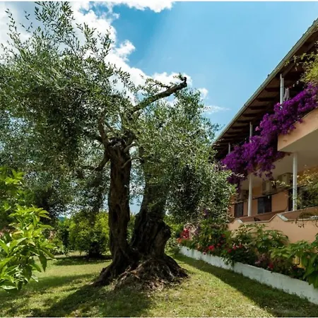 Marilena Apartments & Studios Dassia  Exterior photo