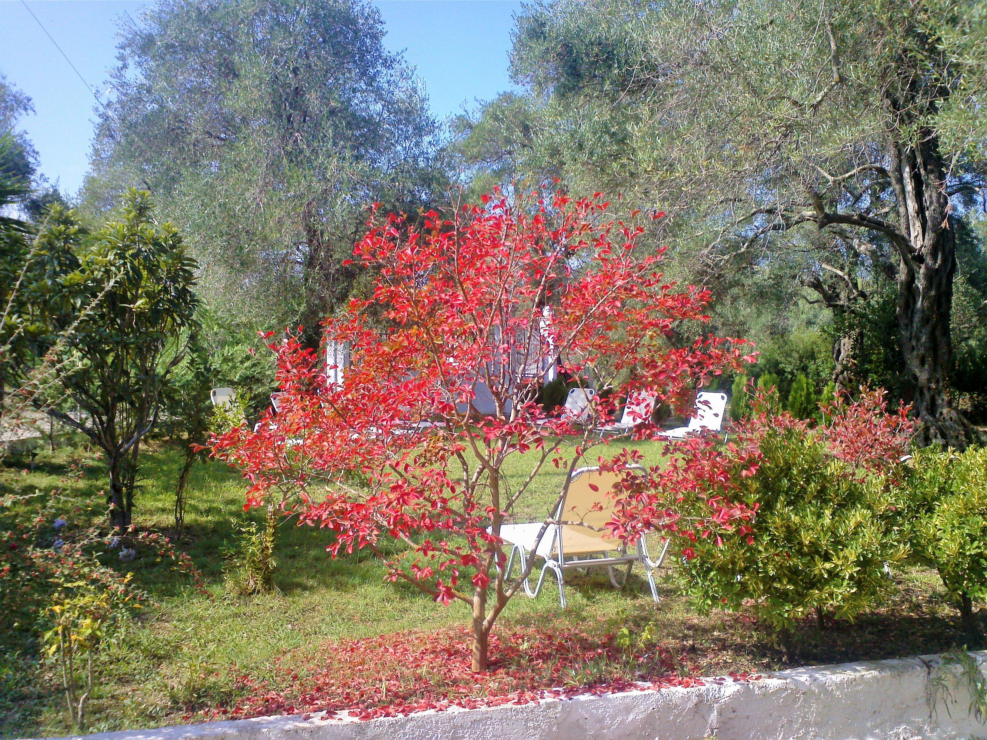 Apartment Marilena &