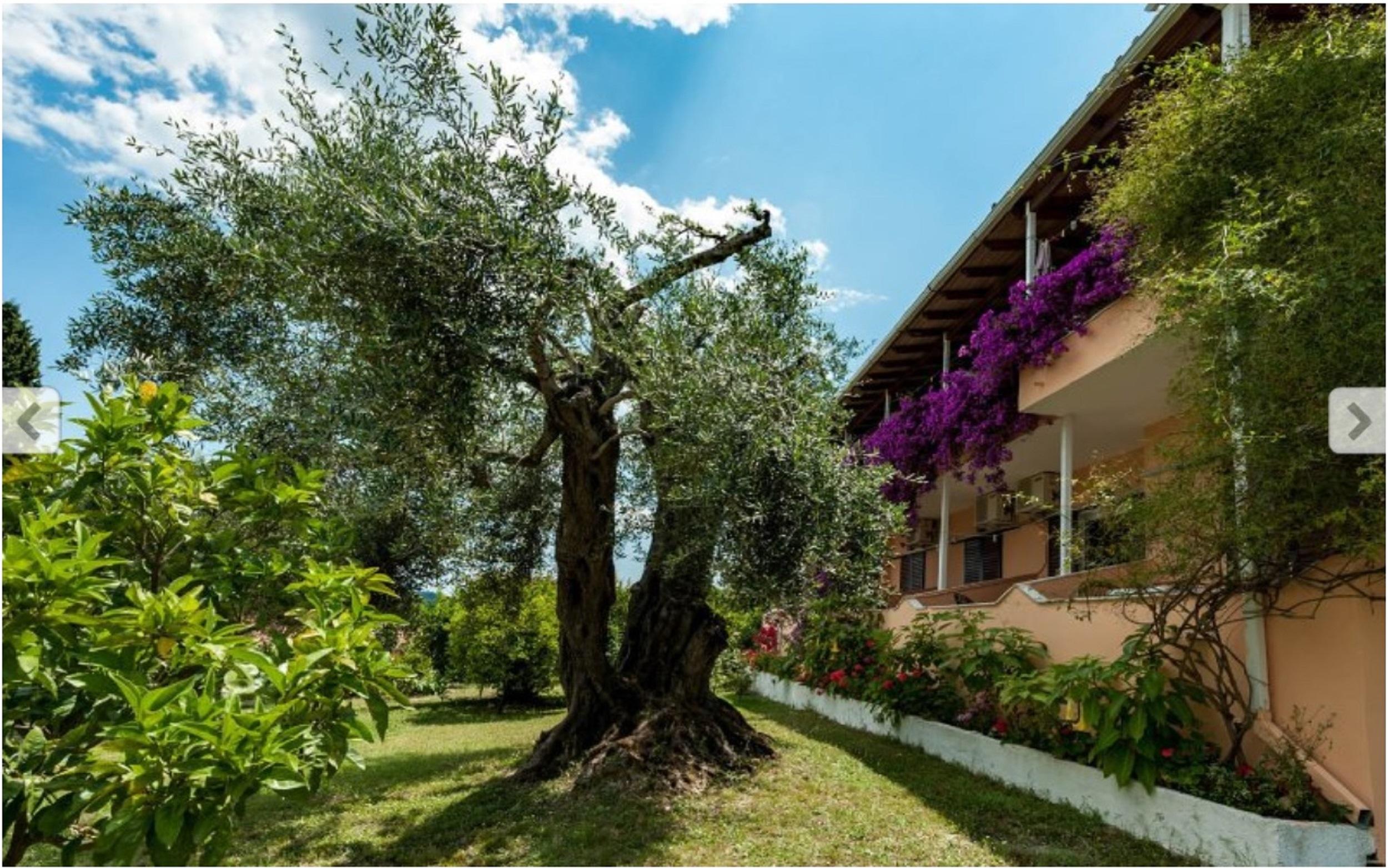 Marilena & Dassia (Corfu)