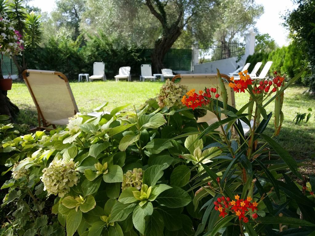 Apartment Marilena & Dassia (Corfu)