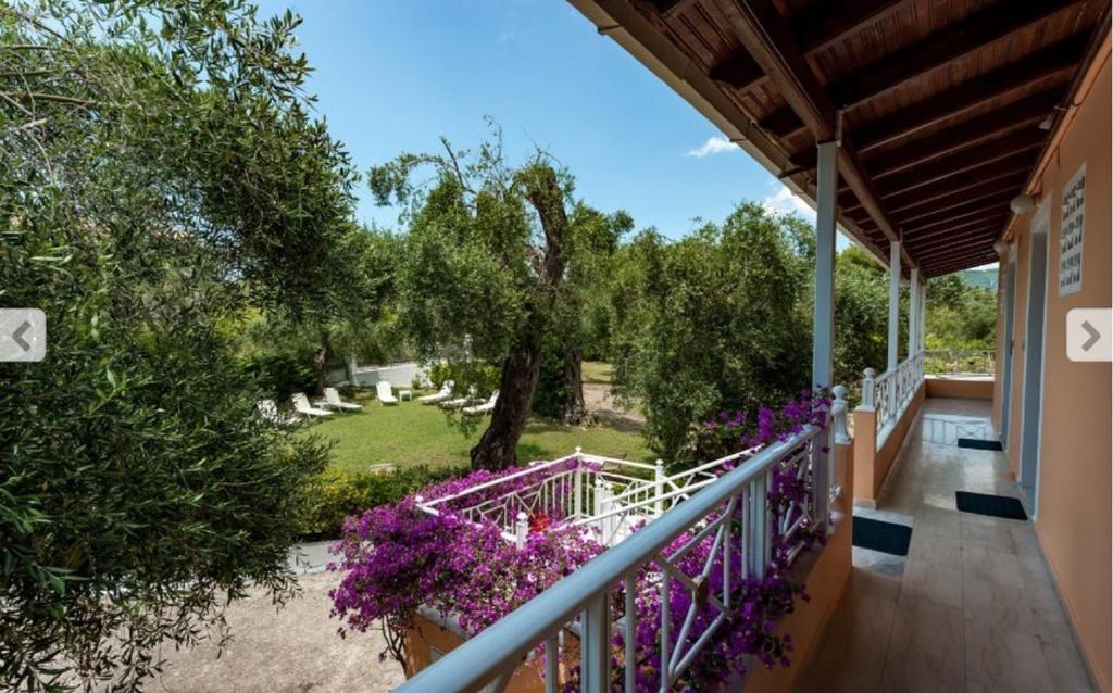 Marilena & Apartment *