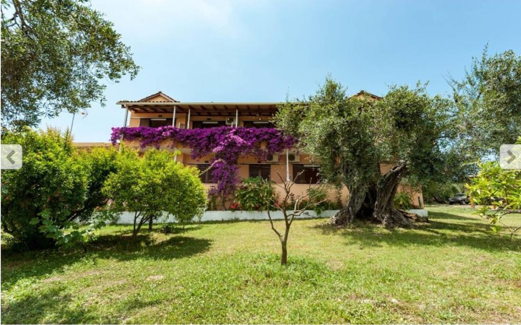 Apartment Marilena & Dassia (Corfu)